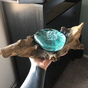 Blown Glass on Gamal Root Base